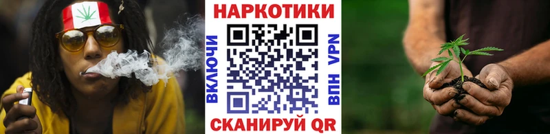 Магазины продажи наркотиков Сковородино Марихуана  Alpha PVP  Галлюциногенные грибы  Гашиш 