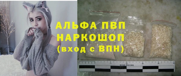 стаф Белокуриха
