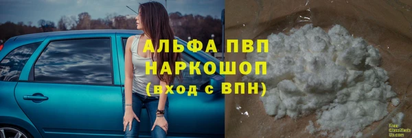 стаф Белокуриха