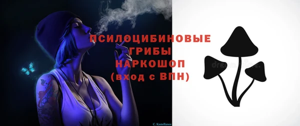 стаф Белокуриха