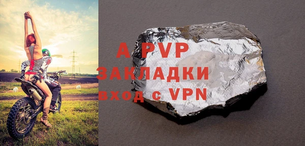 стаф Белокуриха